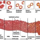 태을한의원 이미지