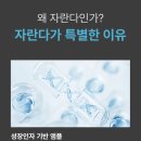 에스알앤피