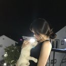 굿모닝그랜드펜션 이미지