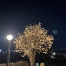 해오름셀프주유소