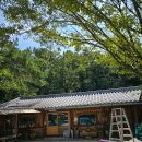 GR(고령군)-[대가야로]-상-23 | 경북 고령 맛집 대가야농원 우렁쌈밥집