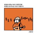 키드씨키드