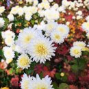 순환한의원 이미지