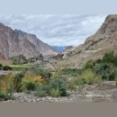 파인드 헬스케어 | 한눈에 보는 걷기·러닝 2026년1월18일