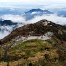 통안골흑염소농장 이미지