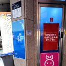 윤정활어