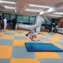온빛우슈아카데미 | 성북구 무술을 즐겨본 시간 온빛우슈아카데미