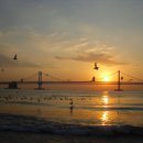 바다해오름 이미지