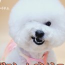 김성준 행정사 사무소 이미지