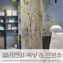 컬러앤미