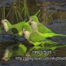에스에스엠주 이미지