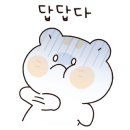 골든햄스터분양탬펫 - 고양시 덕양구 꽃마을로 4 | 골든햄스터분양탬펫