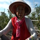 부부곱창 이미지