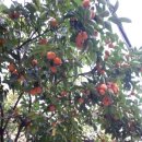 동래농장 이미지