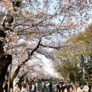 도자기(오전) 이미지