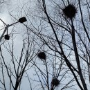 새서울사 이미지