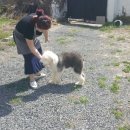 제시잉글리쉬 이미지