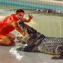 은택농장 이미지