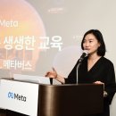 메타비젼 이미지