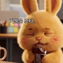 실이네닭곰탕 | 2025년의 10월(우승당해버림)