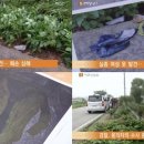 군산경찰서 뒤편