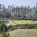 블루헤런G.C 이미지