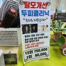 엘림두피관리샵