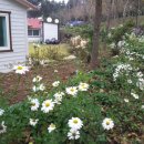 금오도황토민박 이미지