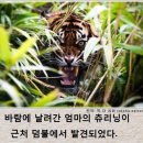 레전드학원 - 청주시 서원구 예체로29번길 17 | 레전드학원
