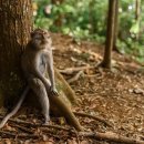 무릉계곡 힐링캠프장 이미지