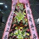 월롱100주년기념체육관 이미지