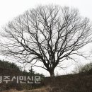 영모암(永慕菴) 티스토리