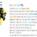 묵동-019 Daum카페