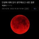 해약국 | [D+57~70] 일본에서 최애 콘서트 가고 밥 잘 차려먹는 일상