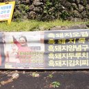 미스켄싱턴 이미지