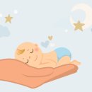 월드번역 행정사 사무소 이미지