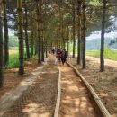 덕산온천 이미지