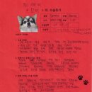 1448 | [#1448] 모찌(좌측 슬개골탈구 G3 / 좌측 전방십자인대)의 수술후기