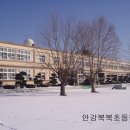 안강북부초 이미지