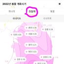 2022년 봄꽃(개나리,진달래, 벚꽃) 개화시기 이미지