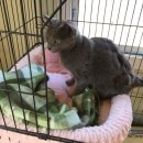 (주)모퉁이
