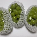 엘지농원 이미지