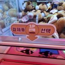 엘리스인형뽑기방