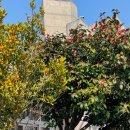 다은 민박 이미지