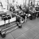 리드 피트니스 이미지