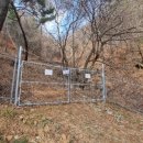 고로쇠산삼농원 이미지