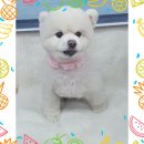 뜨란멍&냥