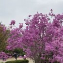 예울치과의원 이미지