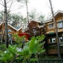 마법의 성 펜션 이미지