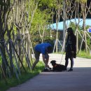 원주굽이길 4코스 치악산바람길 이미지